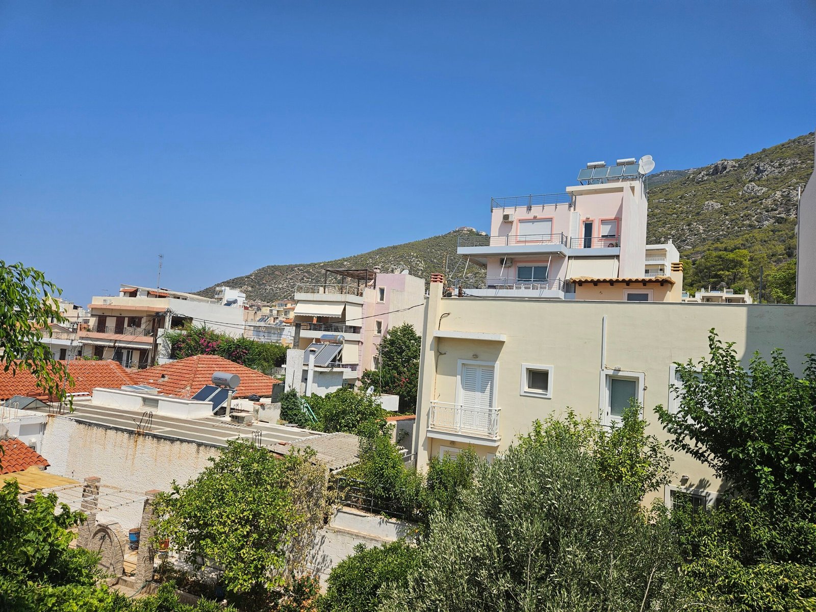 Neighbourhood greenery and mountain view